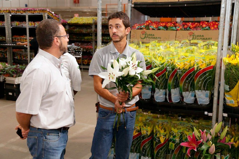 Feira de flores e plantas do Veiling Holambra garante a antecipação dos  negócios do setor Brand-News Brand-News